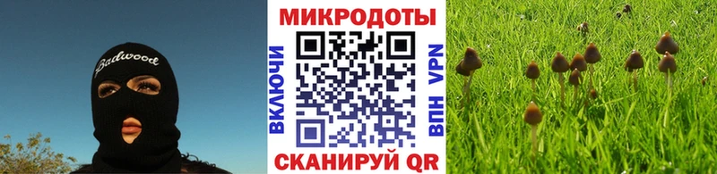 Псилоцибиновые грибы ЛСД Бакал