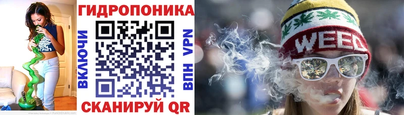Конопля марихуана  Бакал 